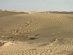 jaisalmer (349)